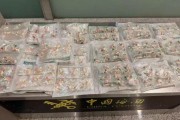 大连周水子机场海关查获“三无”药品5587粒