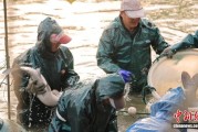 浙江南浔桑基鱼塘冬捕忙 古法鱼塘“捞”出新效益