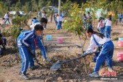 广东三年开展义务植树活动超7万场 参与者超522万人次
