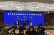 重庆将为保障性租赁住房融资超800亿元