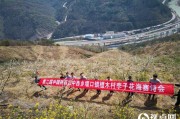 汉中市西乡县堰口镇檀木村成功举办第二届李子花海赛诗会