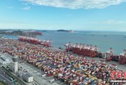 2025年洋山港口岸船舶靠港量和货物吞吐量将双双创下历史新高
