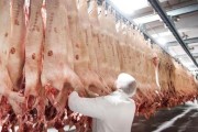 德国最大肉类加工厂爆发聚集性感染 数百名员工确诊